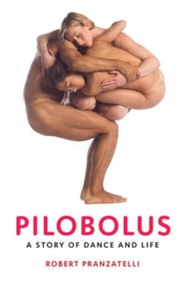 Pilobolus